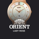 Orient Lady Rose