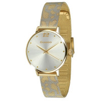 Часы GUARDO PREMIUM 012665-3
