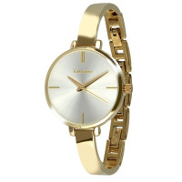 Часы GUARDO PREMIUM 012671-3
