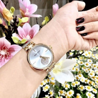 Часы ANNE KLEIN AK/3001SVTT