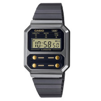 Часы CASIO A100WEGG-1A2EF