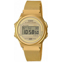 Часы CASIO A171WEMG-9AEF