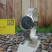 Купить Часы Q&Q A419J222Y ⌚ Наручные часы на fabrikachasov.com ⭐ Бесплатная доставка по Украине от 3000 грн ✈ Гарантия ✔ 10.000 моделей часов лучших брендов!