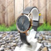 Купить Часы Q&Q A419J412Y ⌚ Наручные часы на fabrikachasov.com ⭐ Бесплатная доставка по Украине от 3000 грн ✈ Гарантия ✔ 10.000 моделей. Скидки!