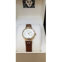Часы Anne Klein 10/9442CHHY