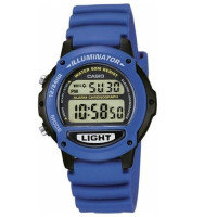 Часы CASIO LW-22H-2AVEF