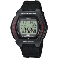 Часы CASIO HDD-600-1AVEF