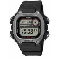 Часы CASIO DW-291H-1AVEF