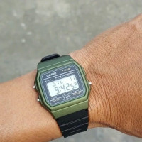 Часы CASIO F-91WM-3AEF