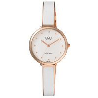 ГОДИННИК Q&Q F669J011Y