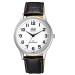 Купити ГОДИННИК Q&Q C214J304Y ⌚ Наручні годинники на fabrikachasov.com ⭐ Безкоштовна доставка по Україні від 3000 грн ✈ Гарантія ✔ 10.000 моделей годинників кращих брендів!