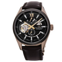 Часы ORIENT RE-AV0115B00B