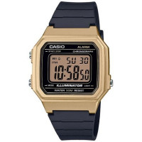 Часы CASIO W-217HM-9AVEF