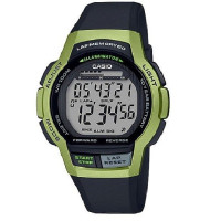 Часы CASIO WS-1000H-3AVEF