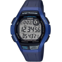 Часы CASIO WS-2000H-2AVEF