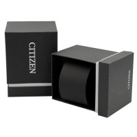 Часы CITIZEN NJ0200-50L