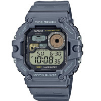 Часы CASIO WS-1700H-8A